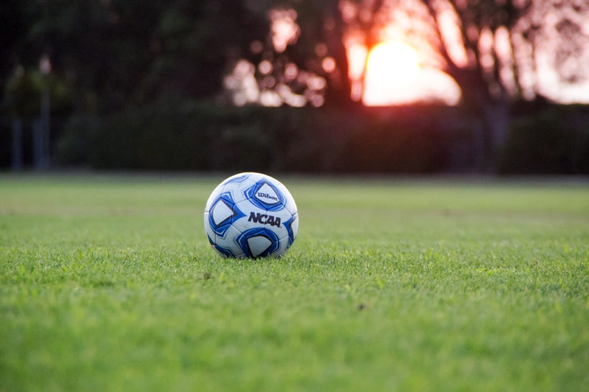 Grass Football - The Origins of Grass Football